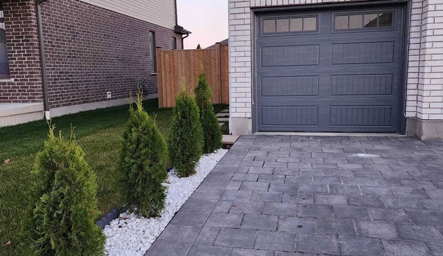Homely, cozy, spacious quiet basement apartment in a lovely neighborhood.
