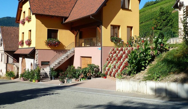 Homerez - Amazing appartement for 4 ppl. at Bernardvillé