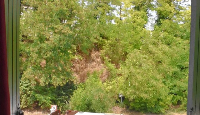 Homerez - Amazing appartement for 2 ppl. with balcony at Trèbes