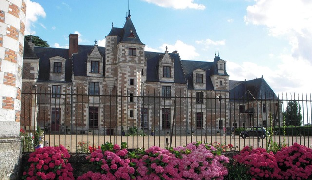 Homerez - Apartment in Vernou-sur-Brenne