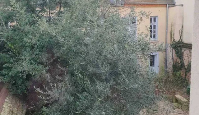 Homerez - Apartment in Limeil-Brévannes