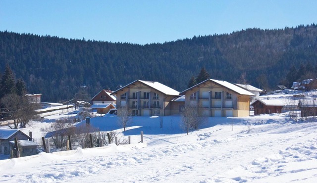 Homerez - Apartment in Xonrupt-Longemer