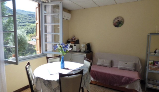 Homerez - Apartment Arles-sur-Tech