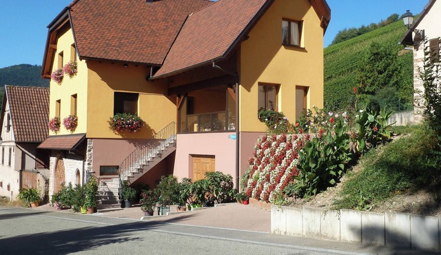 Homerez - Apartment in Bernardvillé