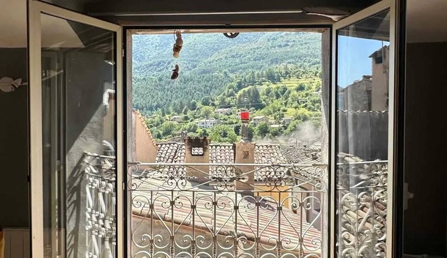 Homerez - Apartment in Entrevaux - Mountain View