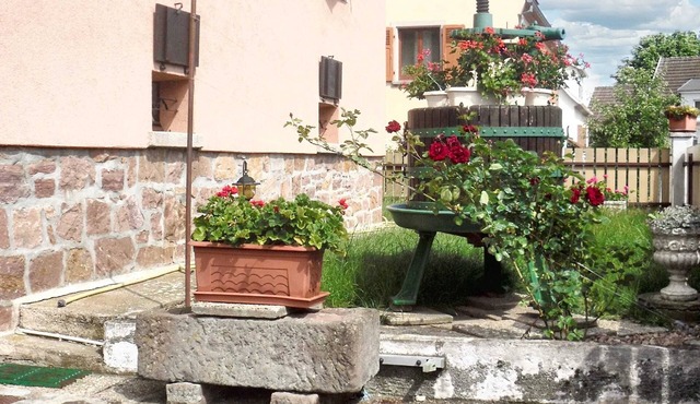 Homerez - Apartment in Kientzheim