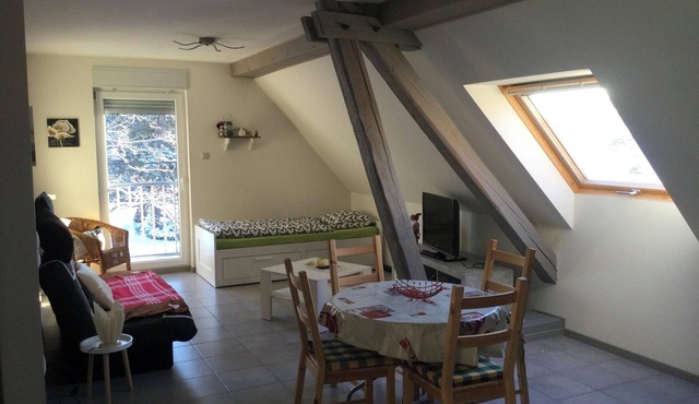 Homerez - Apartment in Lohr, parking