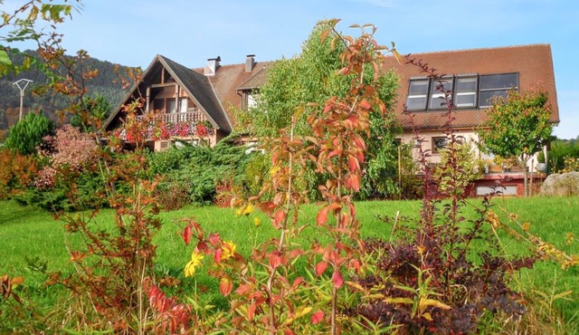 Homerez - Appt Thannenkirch, Mountain View