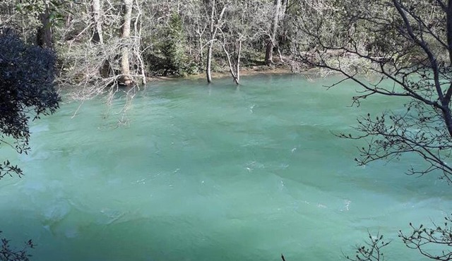 Homerez - Apt. Gorniès, garden, mountain view