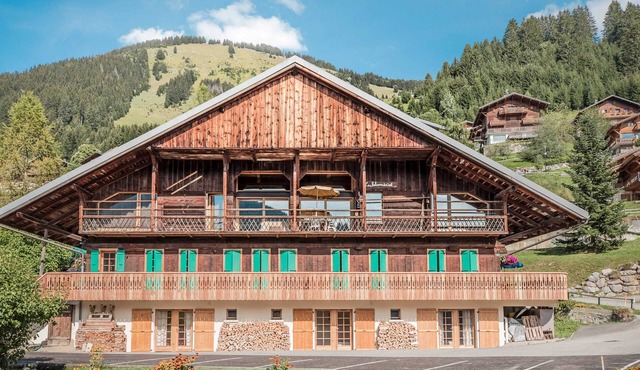 Homerez - Apt. in Châtel, mountain view