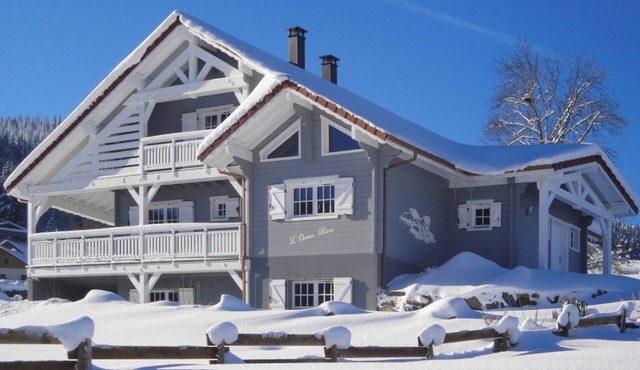 Homerez - Apt in Xonrupt-Longemer, sauna