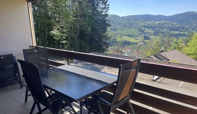 Homerez - Apt in Le Tholy with balcony