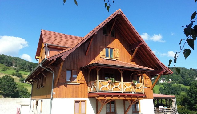 Homerez - Apt. Soultzeren, mountain view