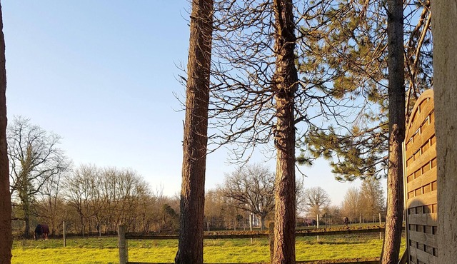 Homerez - Beautiful house for 4 ppl. with terrace at La Roche-Posay