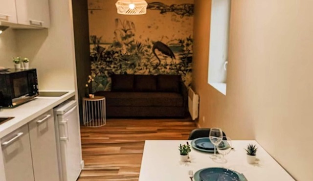 Homerez - Beautiful studio for 2 ppl. at Saint-Chamond