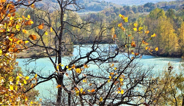 Homerez - Beautiful house 4 km away from the beach for 4 ppl. at Chalabre