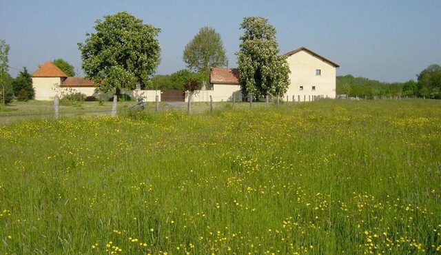 Homerez - Beautiful house for 7 ppl. with terrace at Culhat