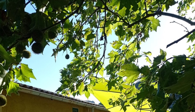 Homerez - Big apartement for 10 ppl. with terrace at Gorniès