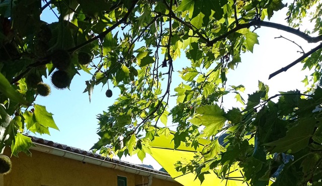 Homerez - Big appartement for 10 ppl. with terrace at Gorniès