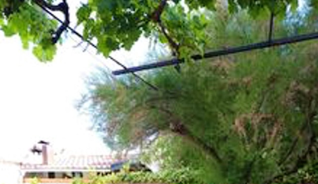 Homerez - Big house for 12 ppl. with garden and terrace at Ivanrey
