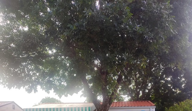 Homerez - Bungalow 10 km away from the beach for 4 ppl. with terrace at Saujon