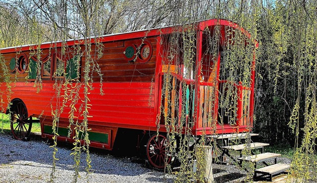 Homerez - Bungalow Sédeilhac garden