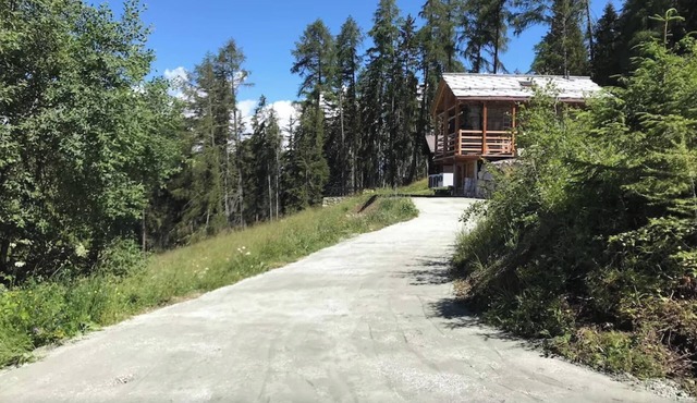 Homerez - Chalet in Mont-Noble.