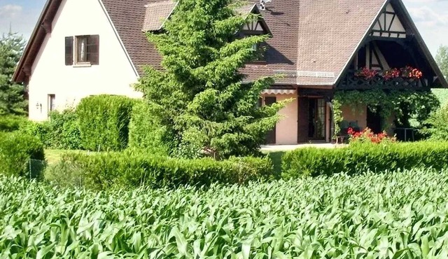 Homerez - Charming Apartment in Hochfelden - 100 m² and Free Parking