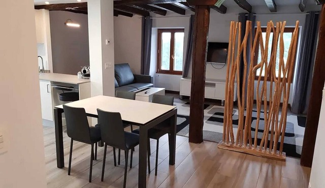 Homerez - Charming Apartment in Sare with Mountain View