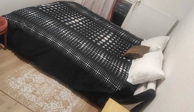 Homerez - Charming apartment in Metz with balcony and parking