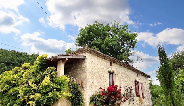 Homerez - Charming House in Sauveterre with Private Pool