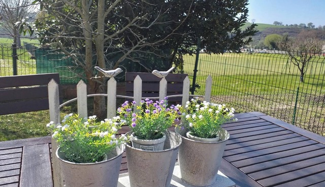Homerez - Charming house in Suances with pool