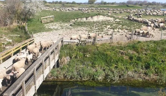 Homerez - Charming house near Favières with fenced garden