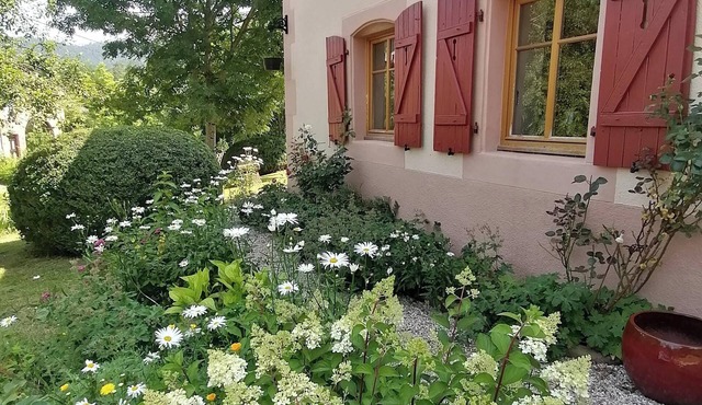 Homerez - Charming house in Taintrux village with garden