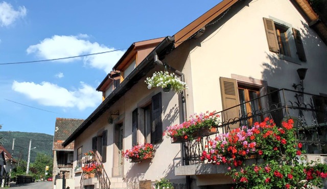 Homerez - Charming house in Wuenheim with garden and terrace