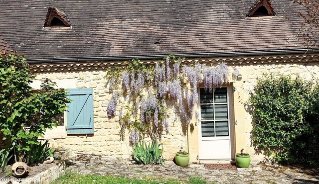 Homerez - Charming house in Tursac with garden and terrace