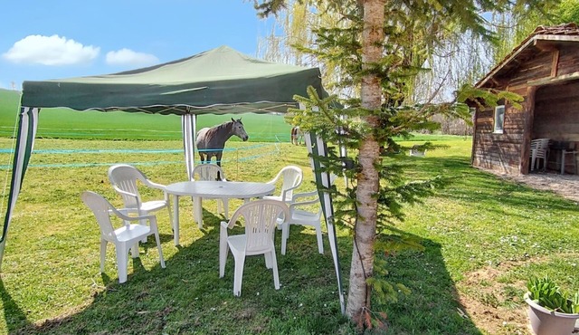 Homerez - Charming Manor in Mancey with Large Terrace