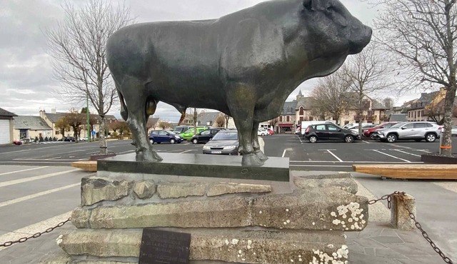 Homerez - Charming studio in Laguiole with mountain view 27 m²