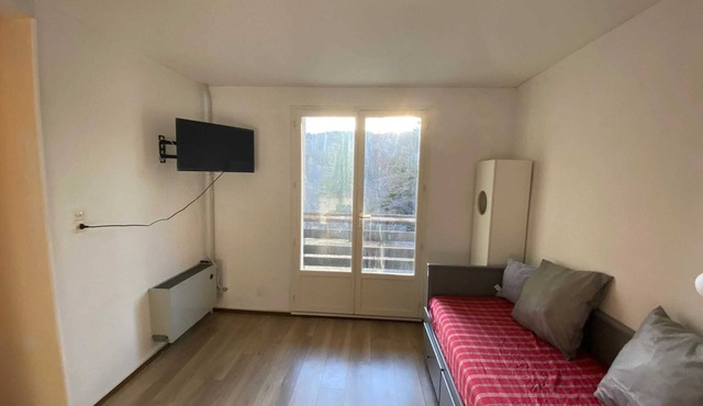 Homerez - Charming studio in Laguiole with mountain view 27 m²