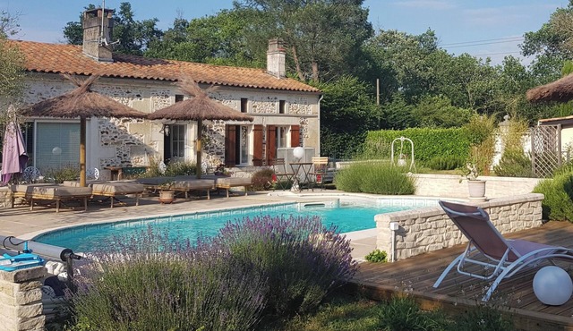 Homerez - Comfortable House in Bussac-Forêt - Pool