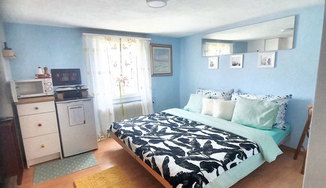 Homerez - Comfortable Studio in Morschach