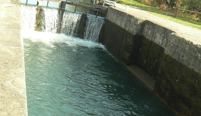 Homerez - Cosy Apartment in Blaignac with Shared Pool - 55 m²