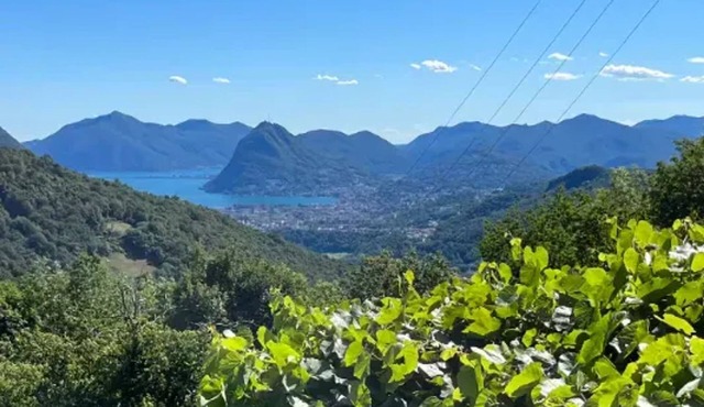 Homerez - Detached House Capriasca