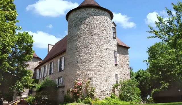 Homerez - Flat in Saint-Gènes-du-Retz