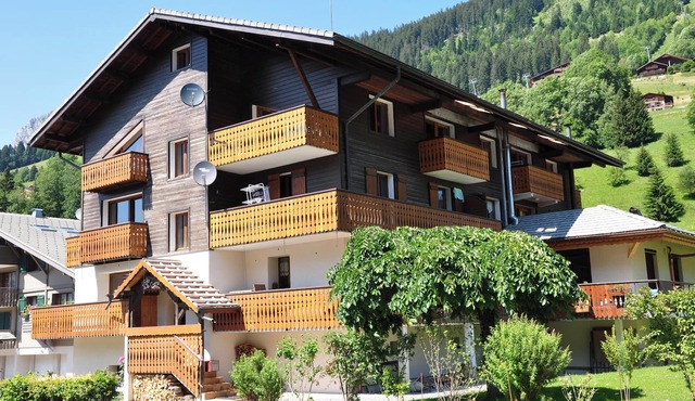 Homerez - Apt La Chapelle mtn view.