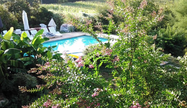 Homerez - Apt with pool near St-Étienne