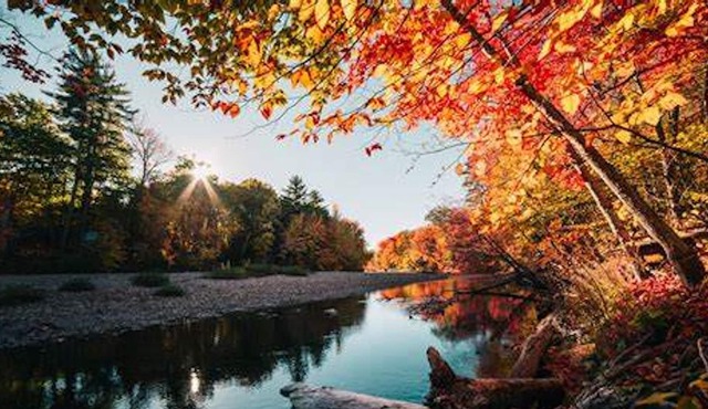 Homerez - Spacious house for 5 ppl. with shared pool at Saint-Germain-d'Esteuil