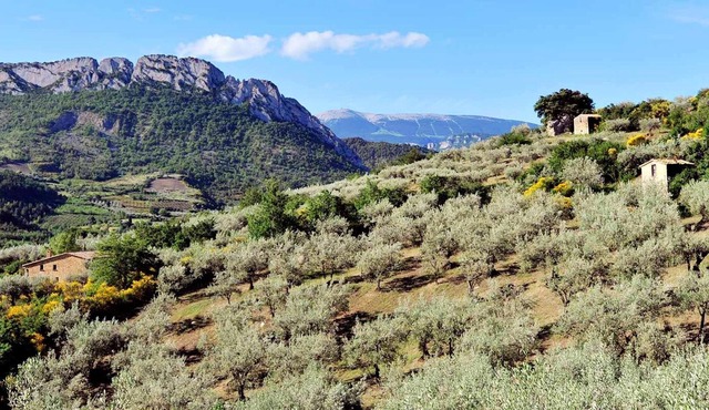 Homerez - House for 6 ppl. with shared pool and terrace at La Roche-sur-le-Buis