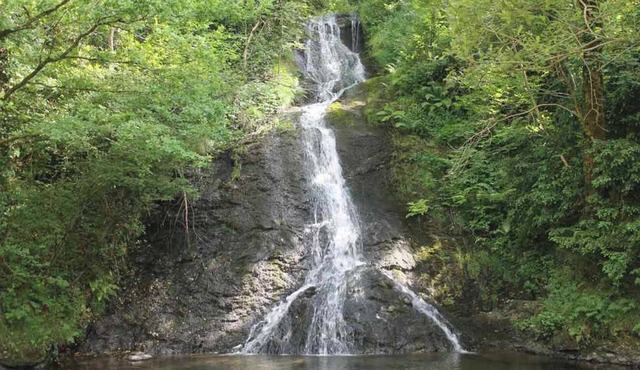 Homerez - House in Le Masnau-Massuguiès
