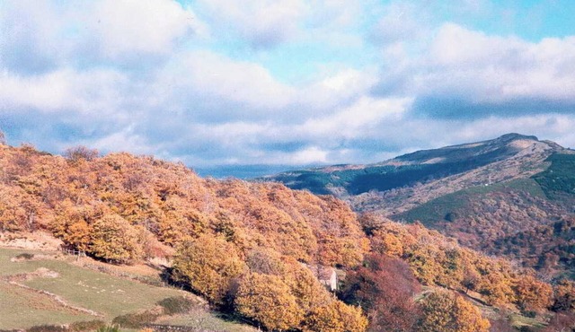 Homerez - House in Saint-Andéol-de-Vals